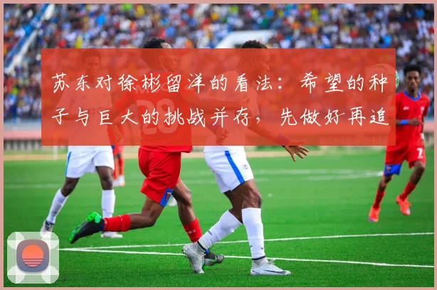 苏东对徐彬留洋的看法：希望的种子与巨大的挑战并存，先做好再追求完美