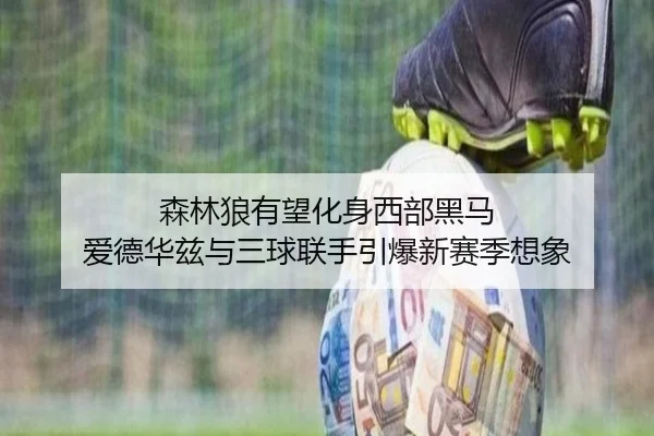 森林狼有望化身西部黑马 爱德华兹与三球联手引爆新赛季想象（TIANBOSPORTS）